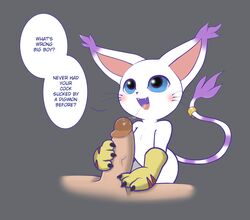 gatomon from digimon by kekitopu