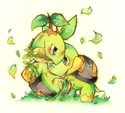 pokemon tagme turtwig