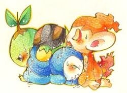 animal_genitalia chimchar color interspecies piplup pokemon pokemon_(species) pokemon_dppt side_view simple_background turtwig unknown_gender white_background