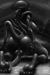 1futa alien alien_(franchise) dickgirl futa_only futanari intersex monochrome nihilophant solo xenomorph