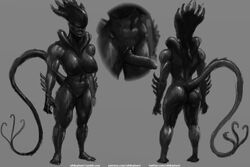 1futa alien alien_(franchise) dickgirl futa_only futanari intersex model_sheet monochrome nihilophant penis solo xenomorph