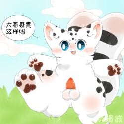 animal_genitalia animal_penis blush blush_lines fabulous_beasts felid feral fur genitals hetao_(fabulous_beasts) hi_res interspecies jiecheng811056 male male/male mammal nipples pawpads penis tail white white_body white_fur