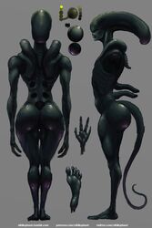 alien alien_(franchise) female female_xenomorph feral_only model_sheet nihilophant xenomorph