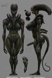 alien alien_(franchise) dickgirl futanari intersex model_sheet nihilophant xenomorph