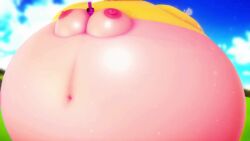 animated blimp full_body_inflation imbapovi nia_(xenoblade) sound spherical_inflation tagme video