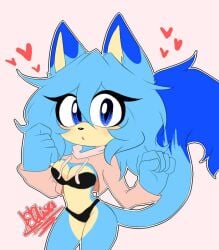 bikini black_bra black_panties bra chatonblue elisa_muar_the_cat furry furry_female mobian mobian_(species) only_girl panties sonic_(series) sweater