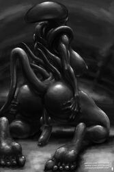 1futa alien alien_(franchise) dickgirl futa_only futanari intersex monochrome nihilophant solo xenomorph