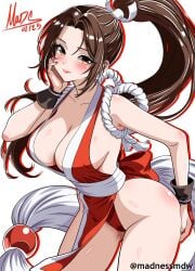 cute_girl fatal_fury female madnessmdw mai_shiranui snk voluptuous_female