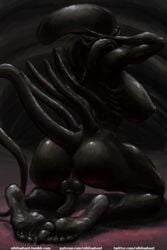 1futa alien alien_(franchise) anus black_skin breasts exposed flaccid futa_only futanari gooch grundle huge_breasts human_feet intersex inverted_nipples kneeling monochrome nihilophant nipples penis presenting_rear solo tail xenomorph