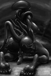 1futa alien alien_(franchise) dickgirl futa_only futanari intersex monochrome nihilophant solo xenomorph