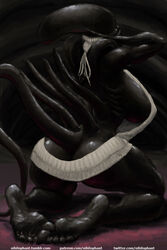 alien alien_(franchise) female female_xenomorph feral_only monochrome nihilophant solo virgin_killer_sweater xenomorph