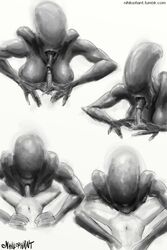 alien alien_(franchise) female female_xenomorph feral_penetrated monochrome nihilophant oral sucking xenomorph