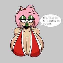 amy rose from sonic (series) by cozy rael