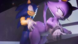 1boy 1boy1girl 1girls 3d 3d_(artwork) 3d_animation angry animated anthro anthro_on_anthro areolae ass balls bathroom big_penis blaze_the_cat blue_fur breasts breasts_out doggy_style feline female gloves green_eyes hedgehog large_breasts male male/female male_moaning male_penetrating male_penetrating_female moaning muscular muscular_anthro muscular_female muscular_male nude nude_female nude_male penetration penis penis_in_pussy princesssnusnu purple_fur shorter_than_10_seconds shorter_than_30_seconds shorter_than_one_minute sonic_(series) sonic_the_hedgehog sound spanked spanked_butt spanking spanking_ass tagme tail tails_the_fox video voice_acted voluptuous voluptuous_female voyeur yellow_eyes