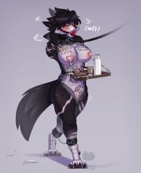 1girls abs acquired_disability amputated_arms amputee anthro armless armless_amputee aroused ball_gag body_writing cinnamoncat dsd_amputee edit female lactation lakaiger missing_arms no_arms pussy pussy_leash slave warcraft wolf