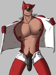5_fingers anthro big_penis black_penis bottomwear canid canine clothed clothing dark_nipples deety eyebrows fingers foreskin fur genitals green_eyes hi_res jacket male male_only mammal muscular muscular_anthro muscular_male open_clothing open_jacket open_topwear partially_clothed penis pointy_ears pubes raised_eyebrow red_body red_fur shorts simple_background smile smiling_at_viewer smirk smirking_at_viewer solo solo_male standing topwear