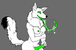 1futa animal_genitalia animal_penis anthro areola breasts bubble canine canine_penis claws dickgirl drooling erection fangs fox fur futanari green_eyes green_nipples green_penis green_tongue grey_background hi_res intersex long_tongue looking_at_viewer mammal navel nipples open_mouth penis precum saliva sharp_teeth simple_background solo teeth tongue tongue_out unknown_artist vix white_fur