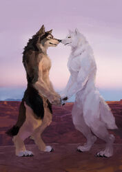 animal_genitalia arctic_wolf balls canid canine canis duo fur hug kissing lazywolf love male mammal moab nuzzling outside paws racoonwolf rock sheath utah were werecanid werecanine werewolf wolf woofy yaoi