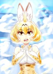 178349 blonde_hair female kemono_friends serval_(kemono_friends) serval_ears serval_print