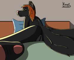 alex_(kinaj) anthro anus bed canine feet female kinaj mammal morning nude pawpads pussy waking_up wolf