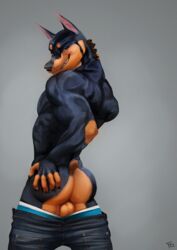 1boy animal_ears animal_nose anthro ass axelll back black_fur brown_eyes brown_fur canine claws doberman dog fur furnedon furry grin hand_on_ass hand_on_neck hanging_balls jeans looking_at_viewer looking_back male male_only mammal muscles nose nude original_character panties pants pointy_ears posing seductive shoulders showing_off standing tail teeth testicles text trousers underwear watermark