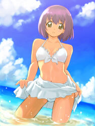 togawa tsukushi from tetsudou musume by kuroganehompo
