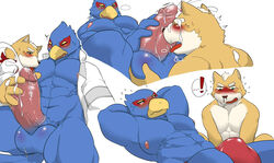 abs anthro anthro_on_anthro avian balls bird blood blush bulge canine clothing cum cum_on_face cumshot duo ejaculation erection falco_lombardi fox_mccloud gay handjob interspecies licking male mammal muscular nintendo nipple_lick nipples nosebleed oral orgasm pecs penis penis_lick sex sheeporwolf speedo star_fox swimsuit tongue tongue_out video_games yaoi