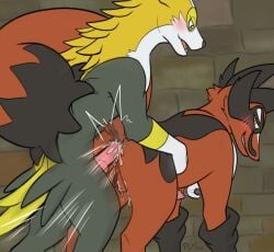 absurd_res anal anal_penetration animal_genitalia animal_penis balls boltund canid canine duo feral fox foxly game_freak generation_8_pokemon genitals hi_res knot male male/male mammal nintendo p.v.su penetration penis pokemon pokemon_(species) pulsewan red_body sex tail thievul true_fox yellow_body
