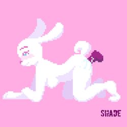 animated anthro dildo fur furry lagomorph mammal masturbation pussy rabbit sex sex_toy shade