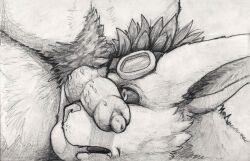 animal_genitalia animal_penis anthro balls belly black_sclera bodily_fluids canid canine canine_genitalia canine_penis drooling duo ears_back erection eyewear eyewear_on_head genitals goggles goggles_on_head greyscale hi_res knot knotted_penis looking_at_genitalia looking_at_penis male male/male mammal monochrome open_mouth penis penis_on_face pivoted_ears pubes ryoken saliva shaded snout vein veiny_penis