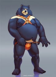 2023 anthro azure_(azuresloth) bear belly black_bear black_body black_fur bulge clothed clothing fur harness hi_res looking_at_viewer male male_anthro mammal moon_bear nipple_piercing nipple_ring nipples overweight overweight_anthro overweight_male partially_clothed partially_clothed_anthro partially_clothed_male piercing ring_piercing simple_background sinibun_95 sitting solo tan_body tan_fur teeth ursine