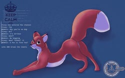 2014 anus black_nose blue_background canine dipstick_tail disney english_text female feral fox fur hi_res looking_at_viewer mammal metalfox multicolored_fur multicolored_tail presenting pussy raised_tail simple_background solo text the_fox_and_the_hound vixey