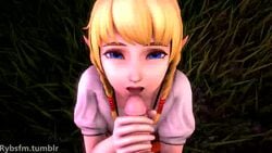 1boy 1girls 3d animated blonde_hair blue_eyes braided_twintails choker cute elf eye_contact fellatio female grass hyrule_warriors licking licking_penis light_skin linkle male nintendo no_sound oral petite pointy_ears pov ryb teenager the_legend_of_zelda video