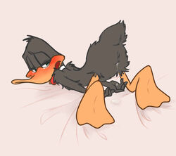 after_sex anthro ass_up avian bed_sheet bedding bird blush cum_from_ass daffy_duck drooling duck feathers feet green_eyes half-closed_eyes looking_back looney_tunes male male_only open_mouth saliva simple_background soft_feathers tears tongue tongue_out warner_brothers zehn