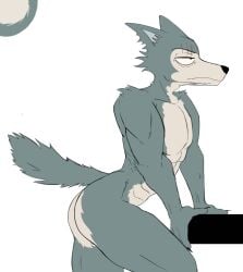 ass beastars camberally furry hands_on_table legoshi_(beastars) looking_into_the_distance naked nude tagme white_background wolf
