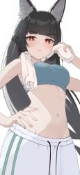 black_hair clothing exposed_stomach fox_ears gym_clothes hollow_special_operations_section_6 hoshimi_miyabi hoyoverse red_eyes sweat towel zenless_zone_zero