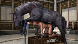 arena debra extremexworld fight horse zoophilia