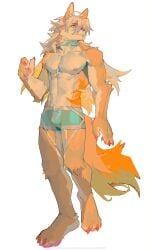 2023 abs anthro barazoku biceps blue_boxers blue_clothing blue_collar blue_underwear boxers_(clothing) canid canine canis clothing collar digital_media_(artwork) digital_painting_(artwork) fur hi_res looking_at_viewer male mammal muscular muscular_anthro muscular_male pecs shirtless_anthro shirtless_male solo underwear viosgit white_body white_fur wolf yellow_body yellow_fur