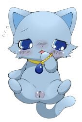 azuo blue_body blue_fur blush body_blush bracelet domestic_cat facial_tuft felid feline felis female female_feral feral fur genitals hi_res jewelpet jewelry lapis_(jewelpet) mammal necklace plump_labia pussy pussy_blush sanrio sega_fave semi-anthro simple_background solo spread_legs spreading tuft white_background