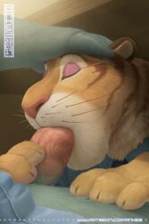 anhes animated buffalo chief_bogo disney feline gay male male_only mammal oral_sex tiger tiger_dancer_(zootopia) under_the_table yaoi zootopia