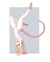 shannon (bahumot) fan art