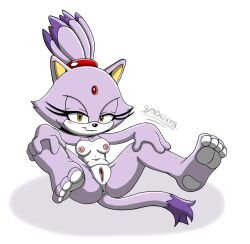 blaze the cat from sega by spindasher98