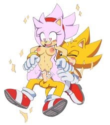 amy rose from sega by leatherruffian