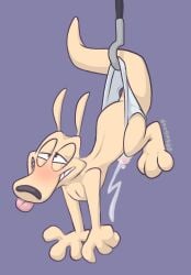 absurd_res alternate_version_at_paywall anthro better_version_at_paywall blep blush bodily_fluids bulge clothed clothing cum cum_in_clothing cum_in_underwear cum_through_clothing cum_through_underwear ejaculation fur genital_fluids hi_res hook macropod magferret_(artist) male mammal marsupial nickelodeon rocko's_modern_life rocko_rama smile solo tail tan_body tan_fur tongue tongue_out underwear underwear_only wallaby wedgie wet wet_clothing wet_underwear