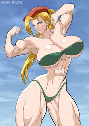 cammy white from capcom by elee0228