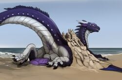 anus balls black_claws claws dragon erection feral genitals horn ishiru male mythological_creature mythological_scalie mythology pawpads penis perineum purple_anus purple_penis scales scalie solo white_body white_horn white_pawpads white_scales