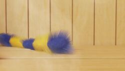 animal_crossing ankha ankha_(animal_crossing) bigger_female cum_leaking cum_leaking_out_of_pussy cunnilingus dominant_female forced_cunnilingus forced_oral furry furry_female furry_male holding_hands long_playtime longer_than_30_seconds longer_than_one_minute male/female oral oral_sex orgasm questionable_consent riding_cock riding_penis rough_sex sauna sauna_bench sauna_sex sex shwazy_(artist) size_difference smaller_male sound_effects sound_warning steam submissive_male tagme tailwag video