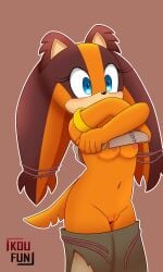 sticks the badger from sega by koufun