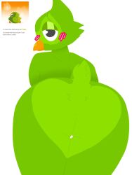 ass bird blushed duolingo green_body shy