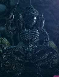 1girls 2017 3d absurdres alien alien_(franchise) alien_girl big_breasts breasts creepychimera feet female female_only female_xenomorph grey_skin huge_breasts large_breasts monster nude pussy solo solo_female source_filmmaker squatting tail teeth thick_thighs thighs toes xenomorph